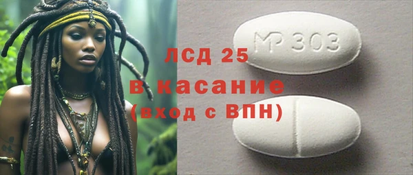 гашик Пересвет