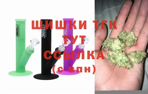 гашик Пересвет