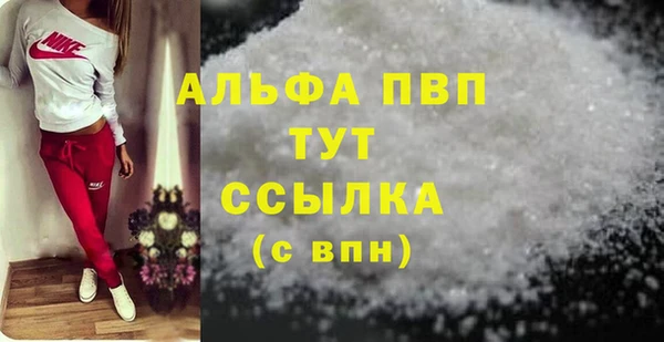 индика Осинники