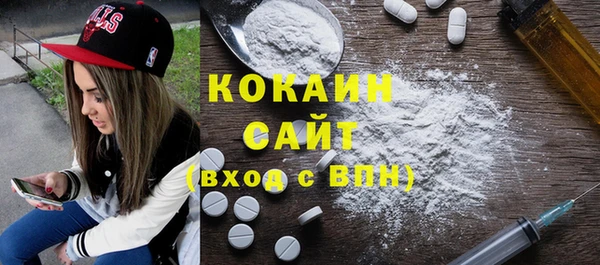 гашик Пересвет