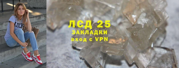 гашик Пересвет