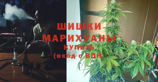 молекула духа Переславль-Залесский