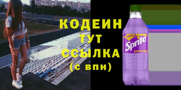 гашик Пересвет