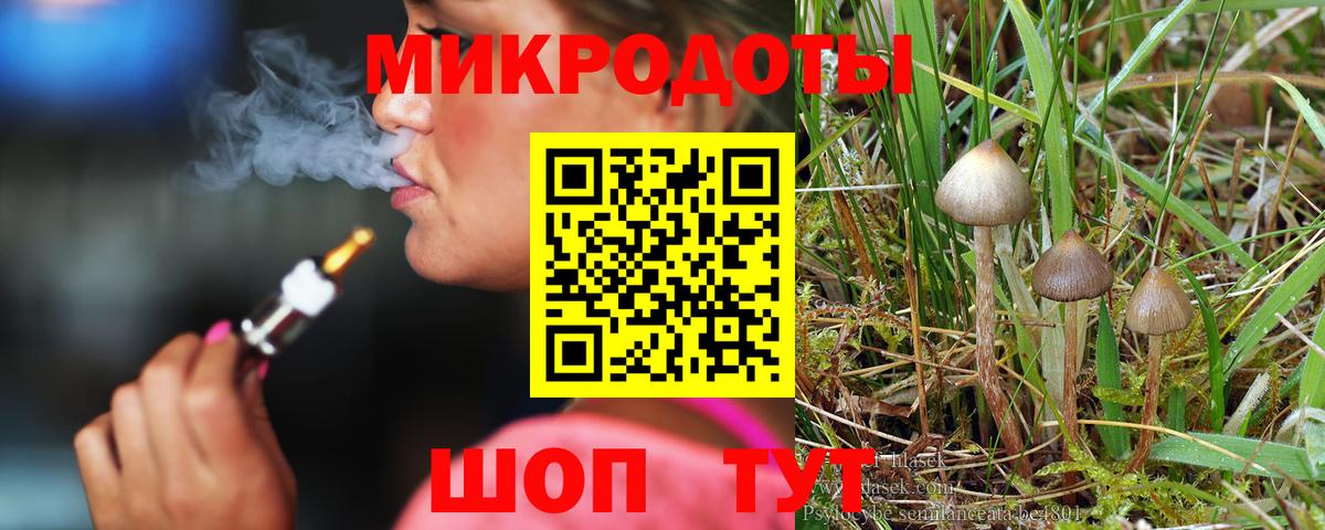 Псилоцибиновые грибы мицелий  Вход с VPN  Солнечногорск 